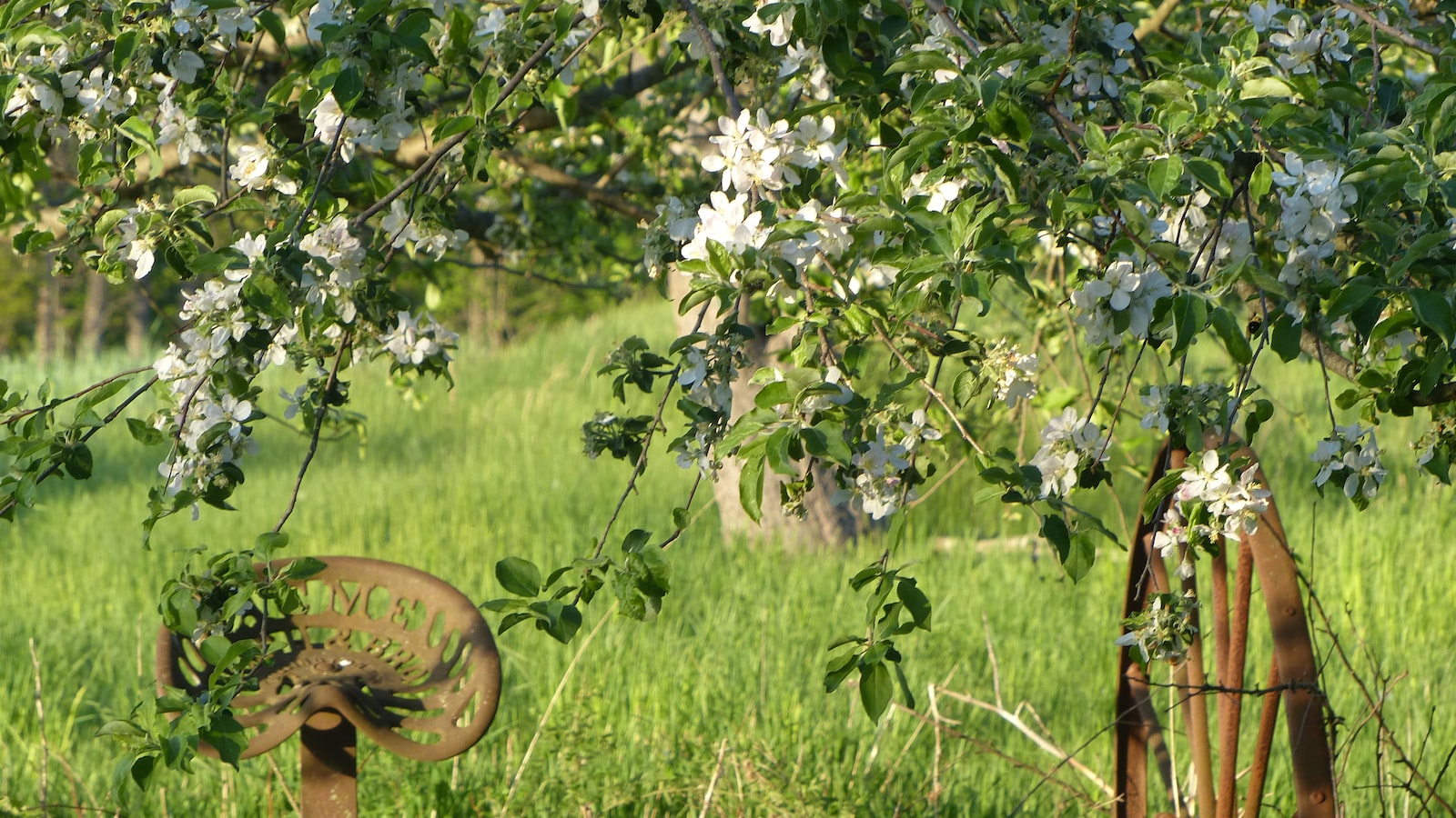 Implementing User Testing and Feedback Strategies for Continuous Improvement